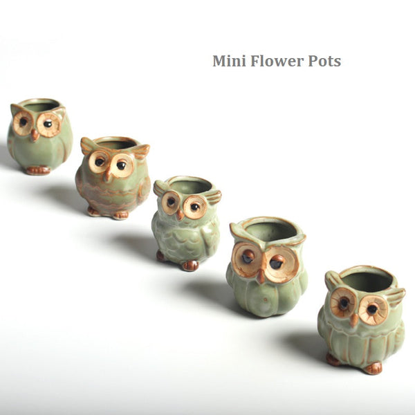 Owl Succulent Flower Pot Set
