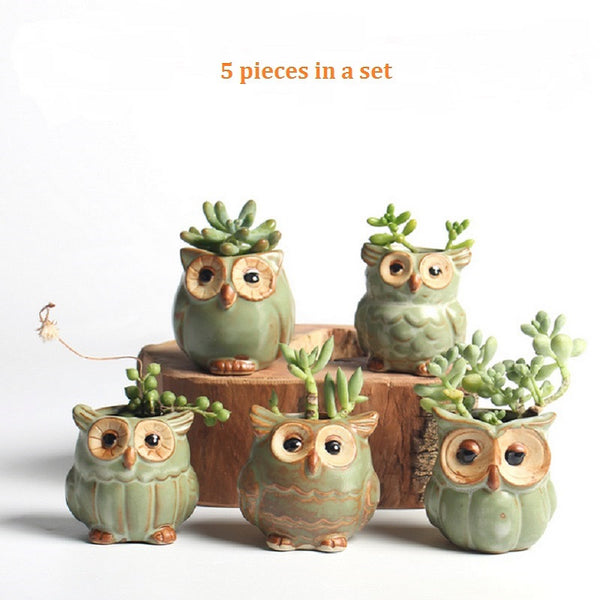 Owl Succulent Flower Pot Set