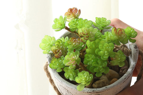 Mini Lotus Head Bunch