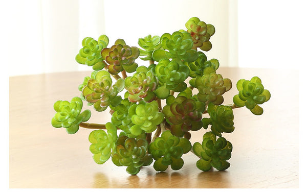 Mini Lotus Head Bunch