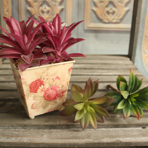 Leafy Cactus
