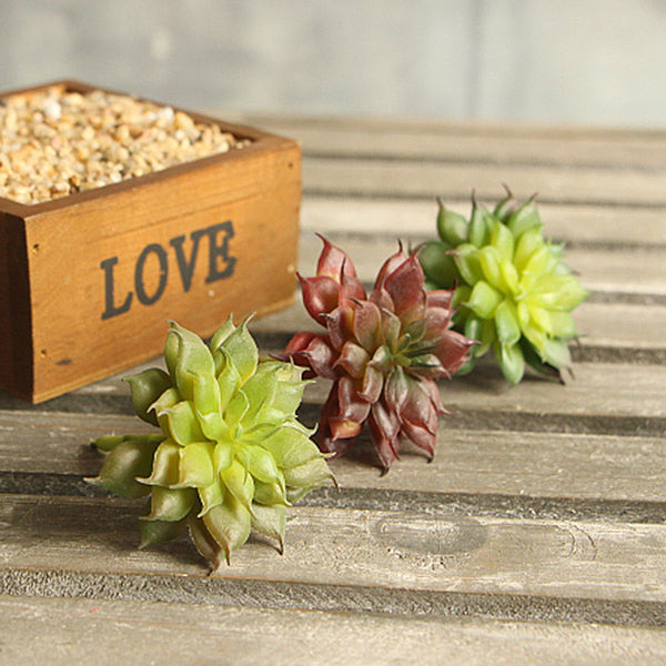Lotus Flower Head Succulent - Small