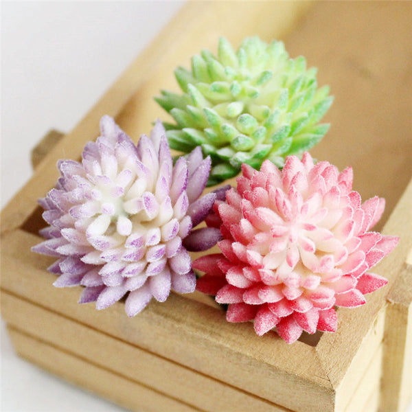 Pastel Colored Flower Head Succulent