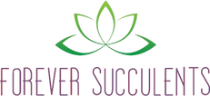 Forever Succulents
