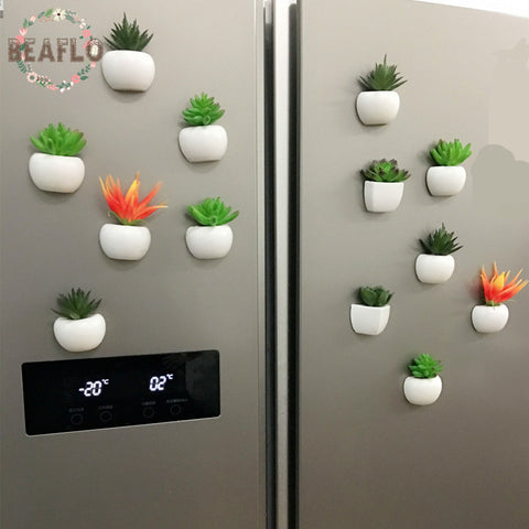 Artificial Silicone Succulent Fridge Magnet