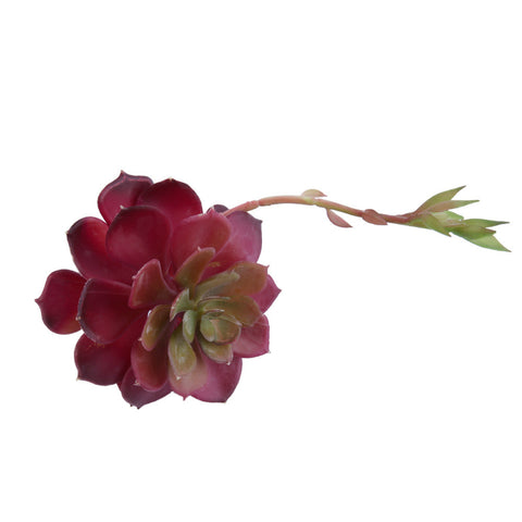 Lotus Flower Head Succulent Decor - Medium Size