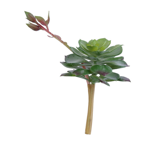 Lotus Flower Head Succulent Decor - Medium Size