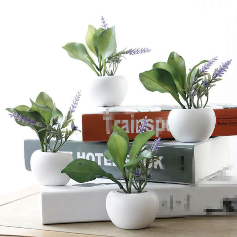 Mini Succulent Pot Magnets