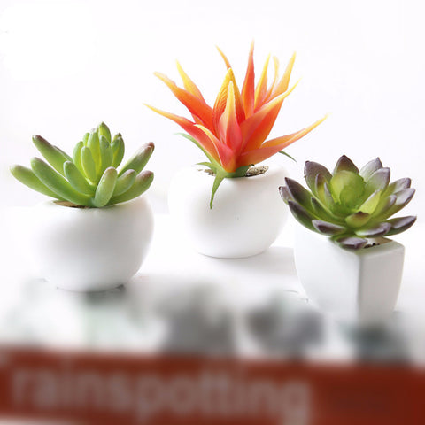 Artificial Silicone Succulent Fridge Magnet