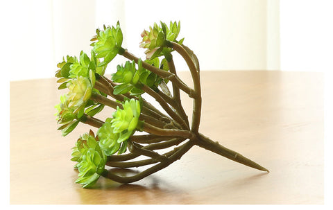 Mini Lotus Head Bunch