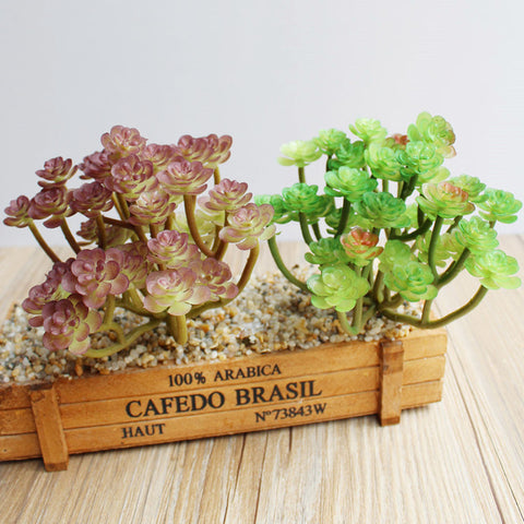 Mini Lotus Head Bunch