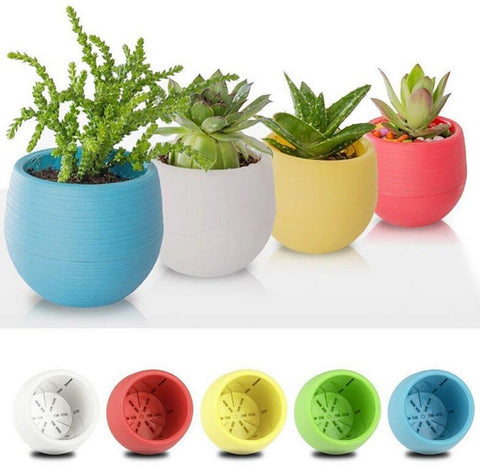 Colored Plastic Flower Pot