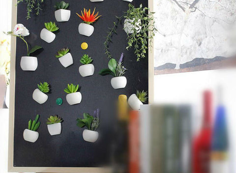 Mini Succulent Pot Magnets