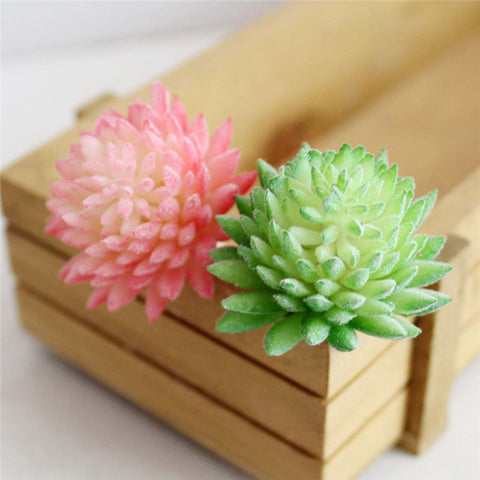 Pastel Colored Flower Head Succulent
