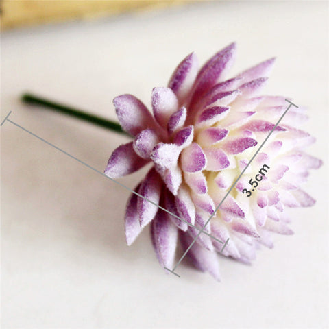 Pastel Colored Flower Head Succulent