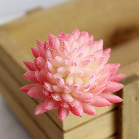 Pastel Colored Flower Head Succulent