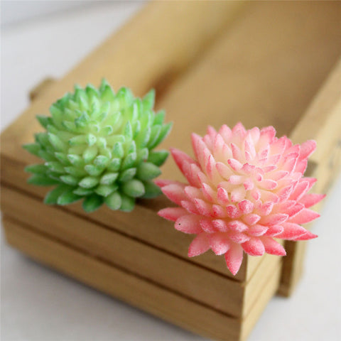 Pastel Colored Flower Head Succulent