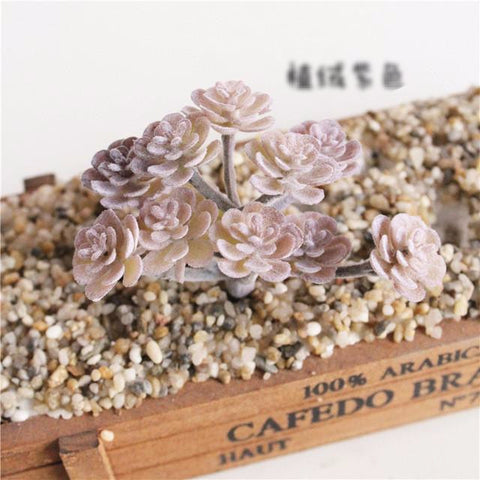 Individual Lotus Succulents - Purple Hues