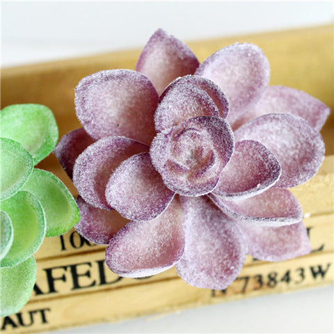 Individual Lotus Succulents - Purple Hues