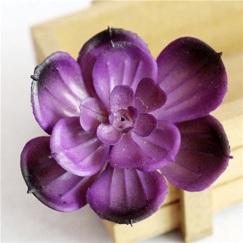 Individual Lotus Succulents - Purple Hues