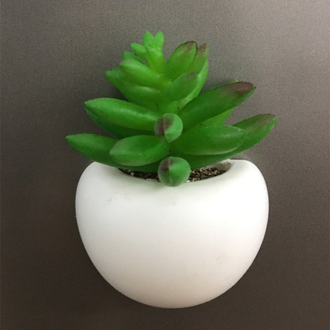 Mini Succulent Pot Magnets