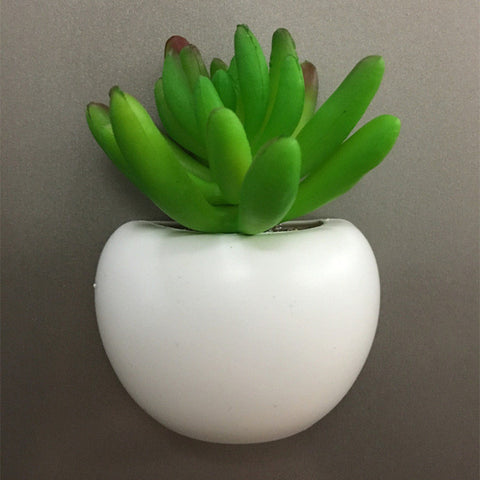 Mini Succulent Pot Magnets