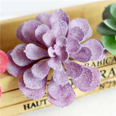 Individual Lotus Succulents - Purple Hues