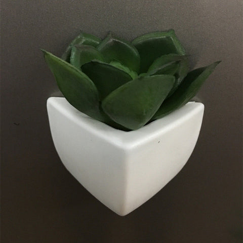 Mini Succulent Pot Magnets