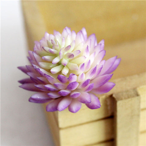 Individual Lotus Succulents - Purple Hues