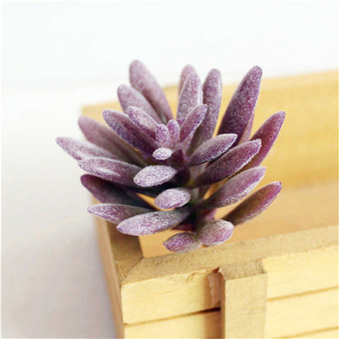 Individual Lotus Succulents - Purple Hues