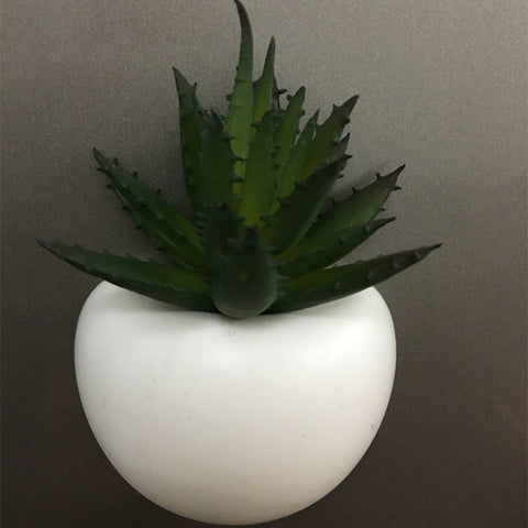Mini Succulent Pot Magnets