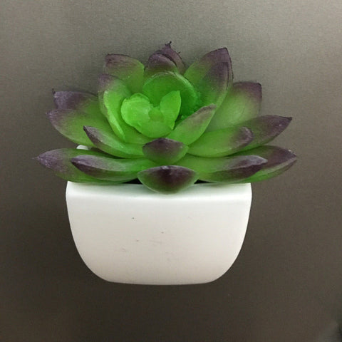 Mini Succulent Pot Magnets