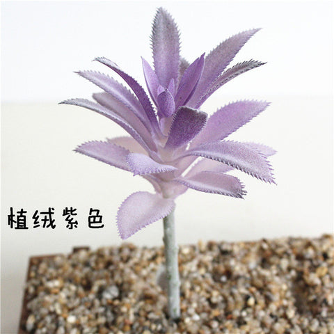 Individual Lotus Succulents - Purple Hues