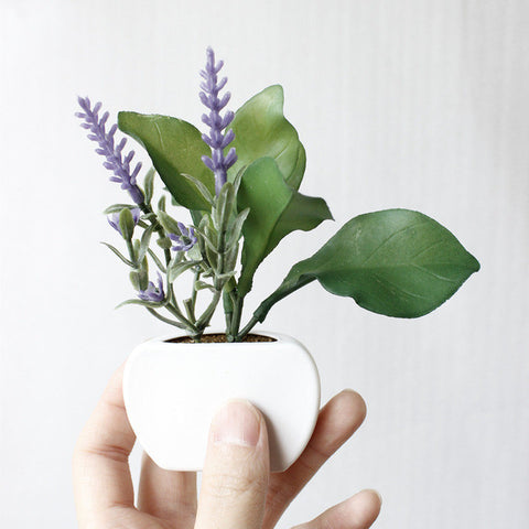 Mini Succulent Pot Magnets
