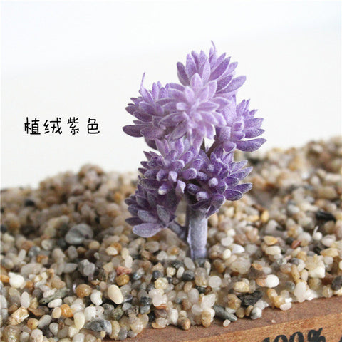Individual Lotus Succulents - Purple Hues