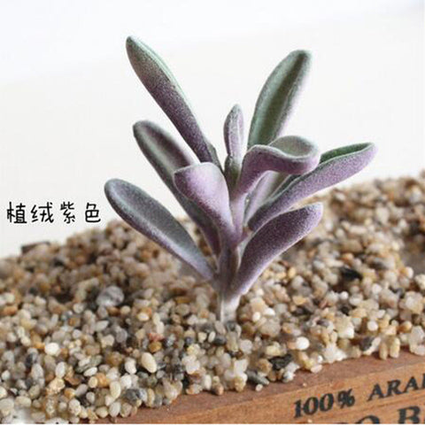 Individual Lotus Succulents - Purple Hues