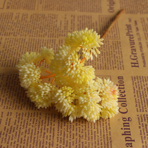 Candy Colored Succulent Flower Bouquet