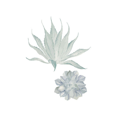 Watercolor Succulent Prints
