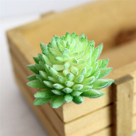 Pastel Colored Flower Head Succulent