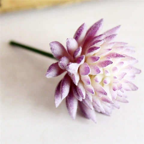 Pastel Colored Flower Head Succulent